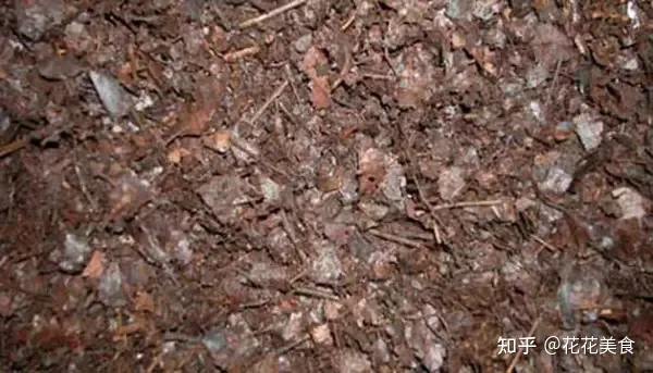 养花土用什么土比较好?，养花用土学问大，一篇文章教你识土、用土！