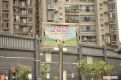文明养犬从我做起活动内容，做合格的“铲屎官”，文明养犬从你我做起