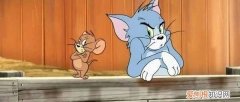 猫和老鼠故事怎么写，以《猫和老鼠》为主题的演讲应该怎样写？