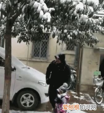 爸带娃vs妈带娃需要提升画画需要提升，这届爹妈带娃，究竟有多野？哈哈哈哈哈哈哈
