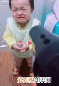 爸带娃vs妈带娃需要提升画画需要提升，这届爹妈带娃，究竟有多野？哈哈哈哈哈哈哈
