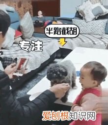 爸带娃vs妈带娃需要提升画画需要提升，这届爹妈带娃，究竟有多野？哈哈哈哈哈哈哈