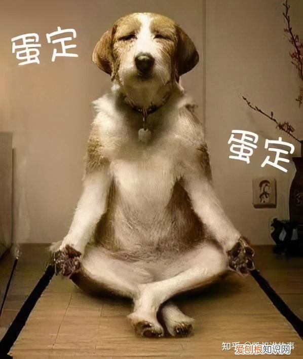 爸带娃vs妈带娃需要提升画画需要提升，这届爹妈带娃，究竟有多野？哈哈哈哈哈哈哈