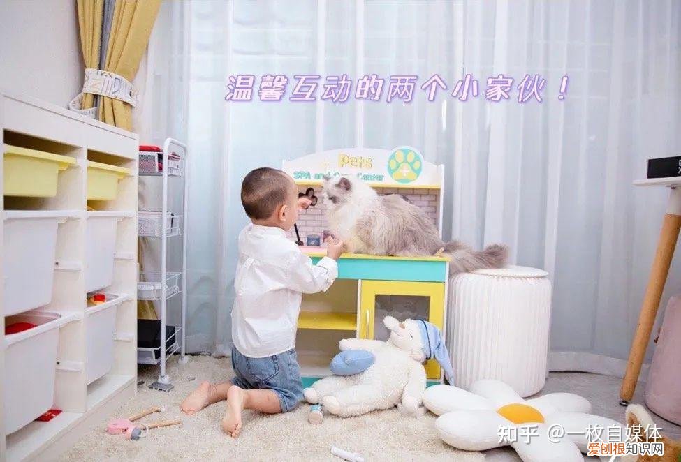 躲不掉的劫 莲生，躲不掉的“terrible two”，如何让娃变成小天使？