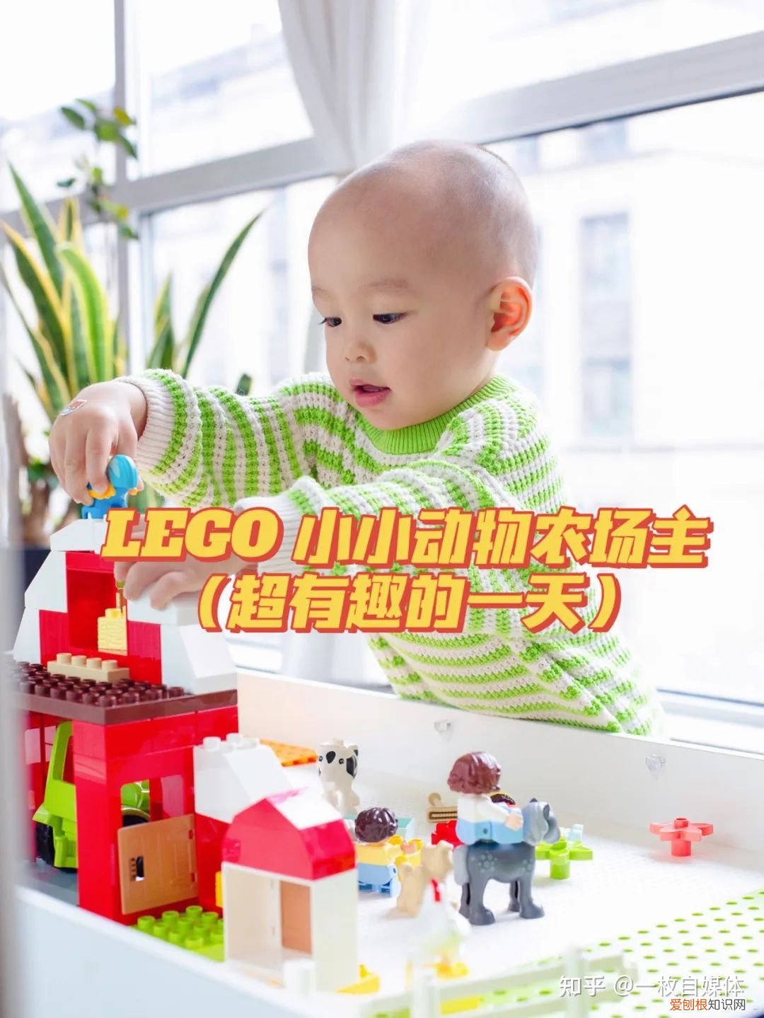 躲不掉的劫 莲生，躲不掉的“terrible two”，如何让娃变成小天使？