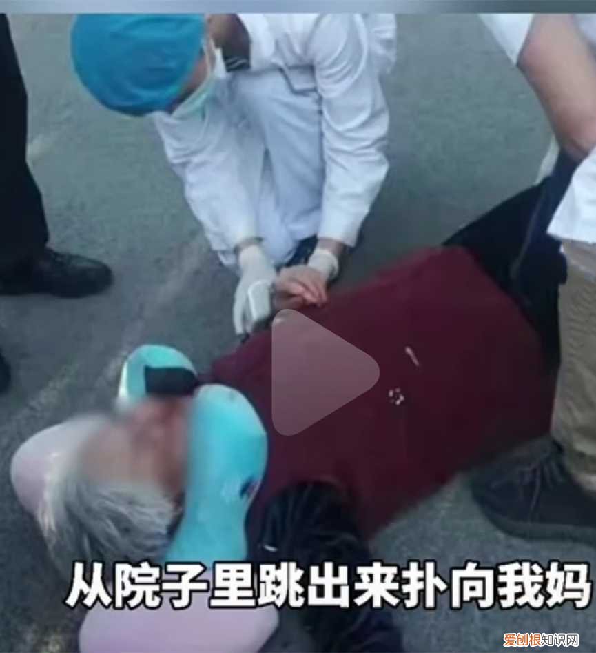 遵义狗咬死老人 贵阳发生恶犬伤人事件，小狗被咬死，老人全身被咬伤