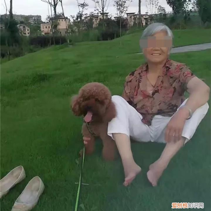 遵义狗咬死老人 贵阳发生恶犬伤人事件，小狗被咬死，老人全身被咬伤