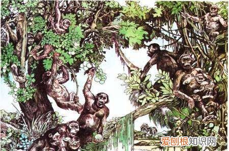 人是食腐动物，人类算不算食腐生物呢