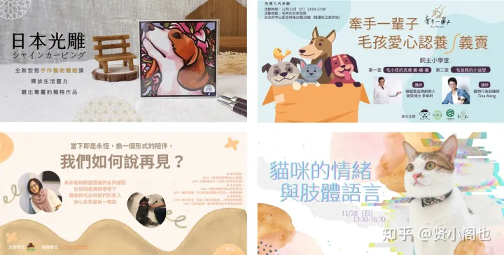 关于宠物的ppt内容，赏析│有关宠物主题的课程活动banner设计