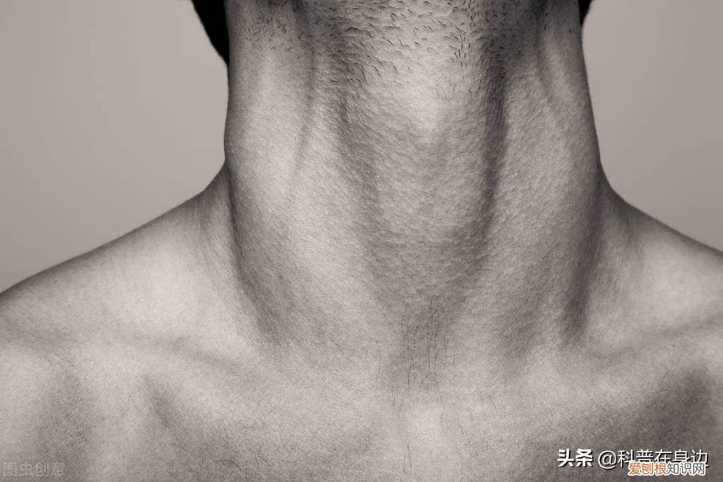 关于男生的小知识，20个关于男性的有趣小知识