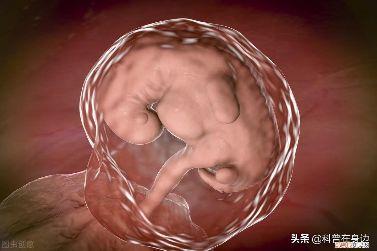 关于男生的小知识，20个关于男性的有趣小知识