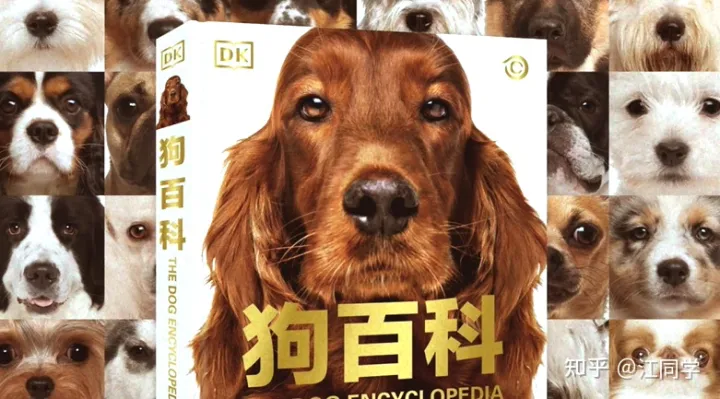 狗的基础知识，狗狗知识10个铲屎官有9个都答不对？你需要一本DK的《狗百科》！