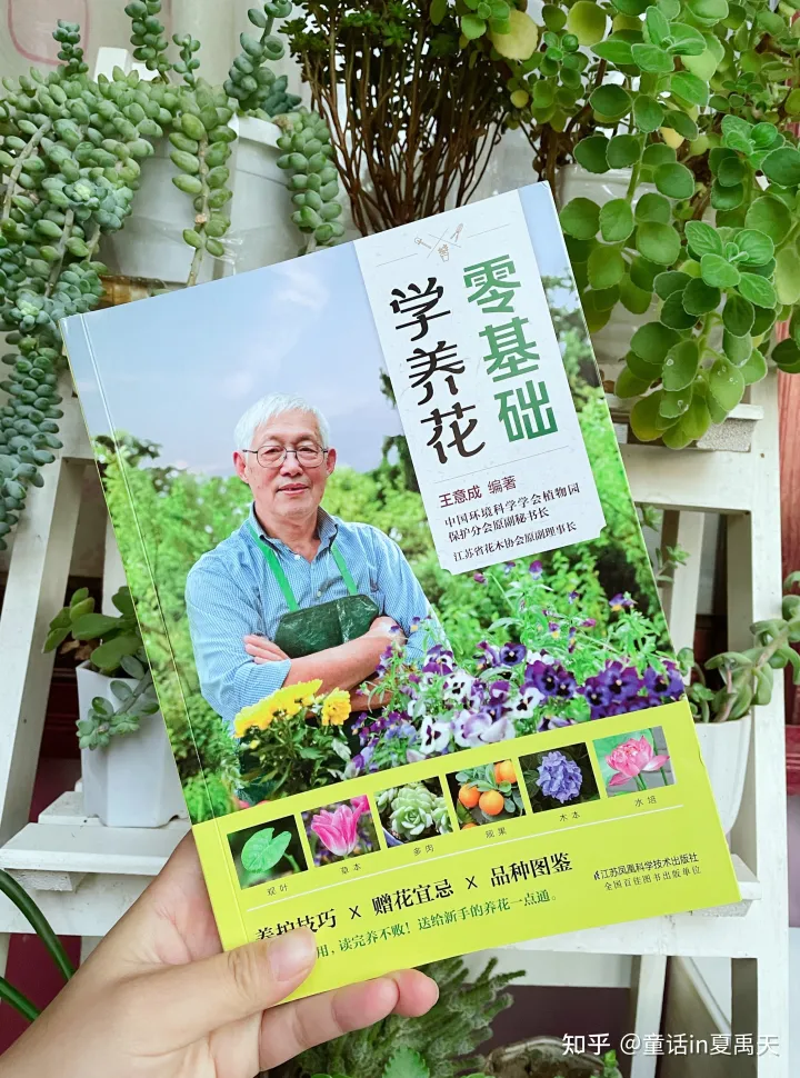 适合植物杀手养的花，拒做植物杀手，零基础学养花