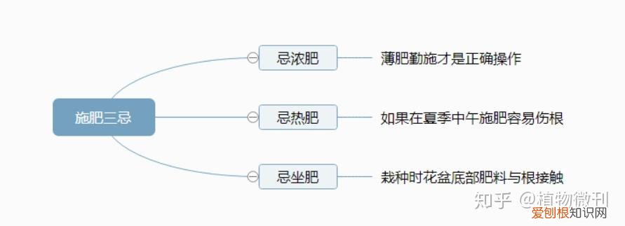 盆栽花肥怎么施法?，新手养花，入门攻略之施肥管理