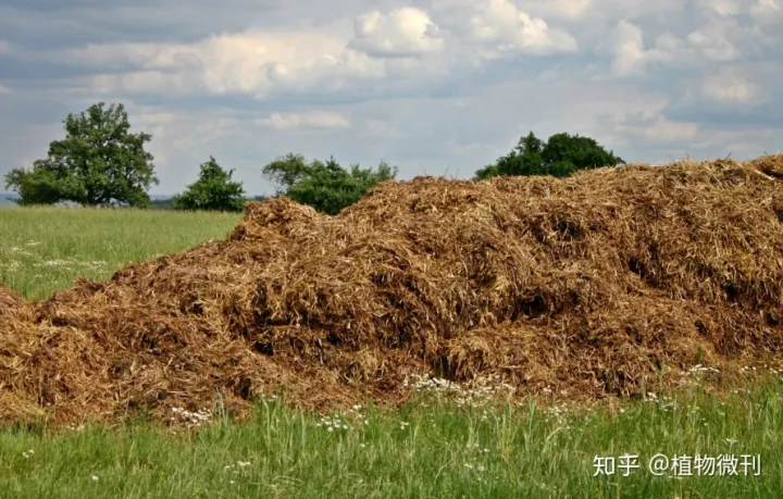 盆栽花肥怎么施法?，新手养花，入门攻略之施肥管理