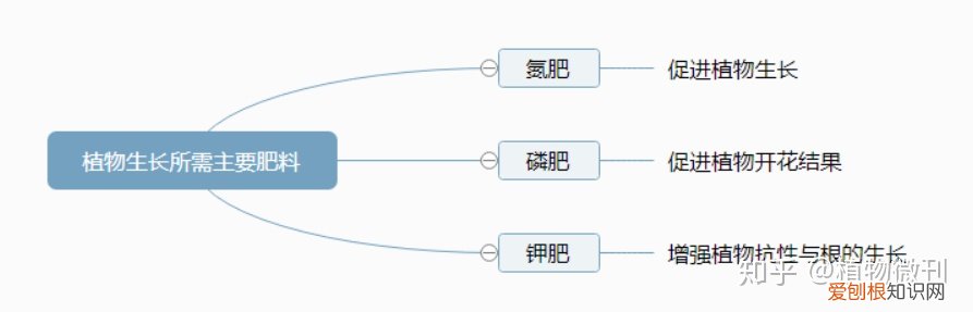 盆栽花肥怎么施法?，新手养花，入门攻略之施肥管理