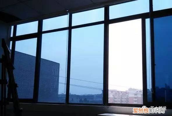 光照不足适合养什么植物图片，养花入门：正确分辨光照强弱，是你养好植物的前提