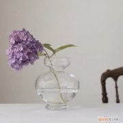 养花的养料可以玩吗，纯干货的花材养护知识！看完别说你不会养花！