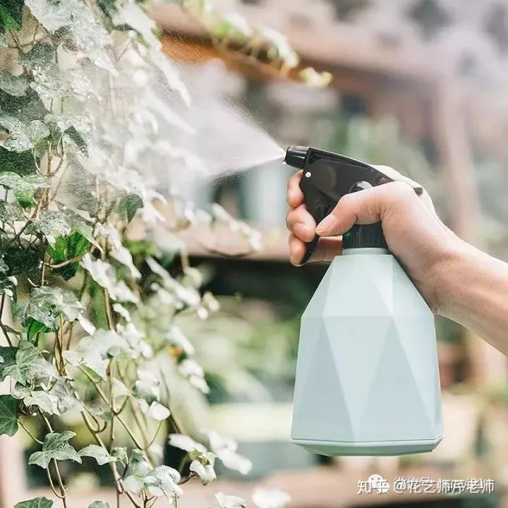 各种花应该如何养活，这些花材养护知识，没有一个不是干货！【收藏版】