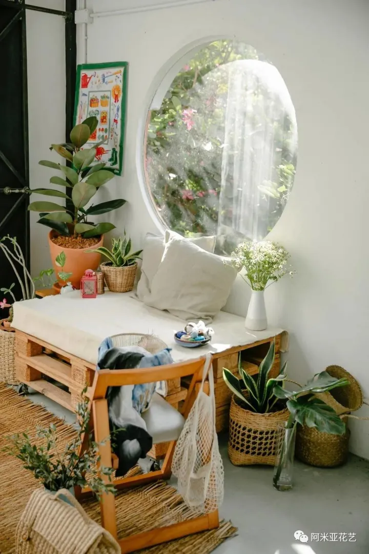 花材的认识与养护教案，花材日常养护小知识