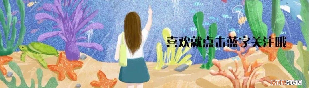 育儿知识2至3岁教案，育儿 | 干货！适合2-3岁宝宝的儿童动画APP测评来了
