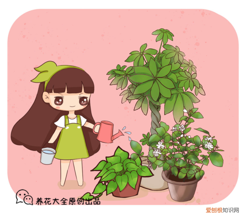 各种花的养花技巧，4个养花小绝招，简单易学，花长得特旺盛