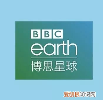 早教课程资源百度网盘,去哪儿找优质的早教动画资源?
