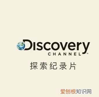 早教课程资源百度网盘,去哪儿找优质的早教动画资源?