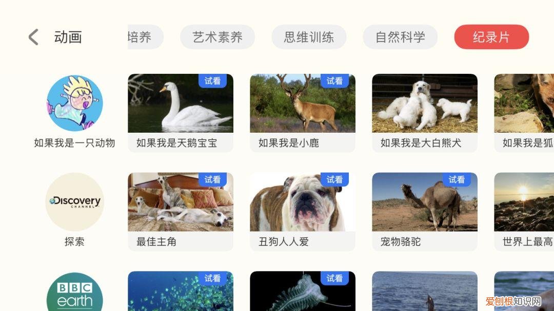 早教课程资源百度网盘,去哪儿找优质的早教动画资源?