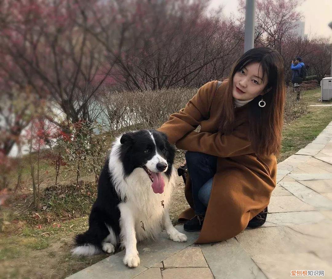 omg叫什么，OMG!知名作家喝醉后竟然念叨起…….