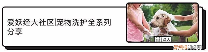 omg叫什么，OMG!知名作家喝醉后竟然念叨起…….