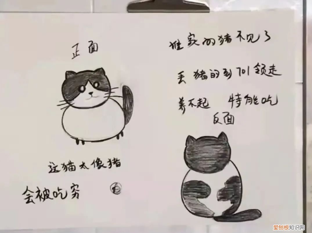 猫知道自己做错事情了吗，猫猫做错了什么，要贴标语警告？