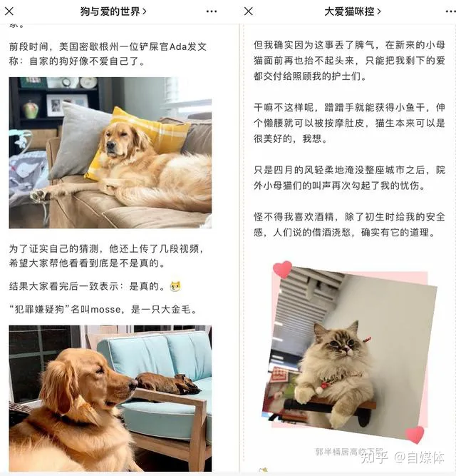 宠物自媒体每天都要发东西么，想做宠物类的自媒体，有什么建议么？