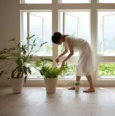养花的窍门，纯干货 | 养花人必知的20条常识，收好了