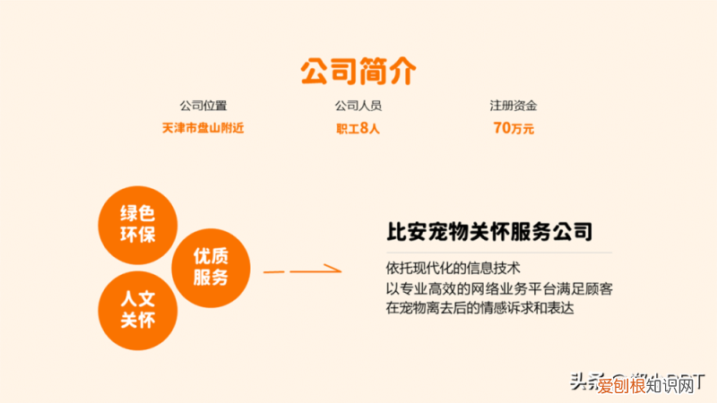 宠物ppt的背景图怎么制作,不用图,设计了一份宠物PPT,效果也很不错
