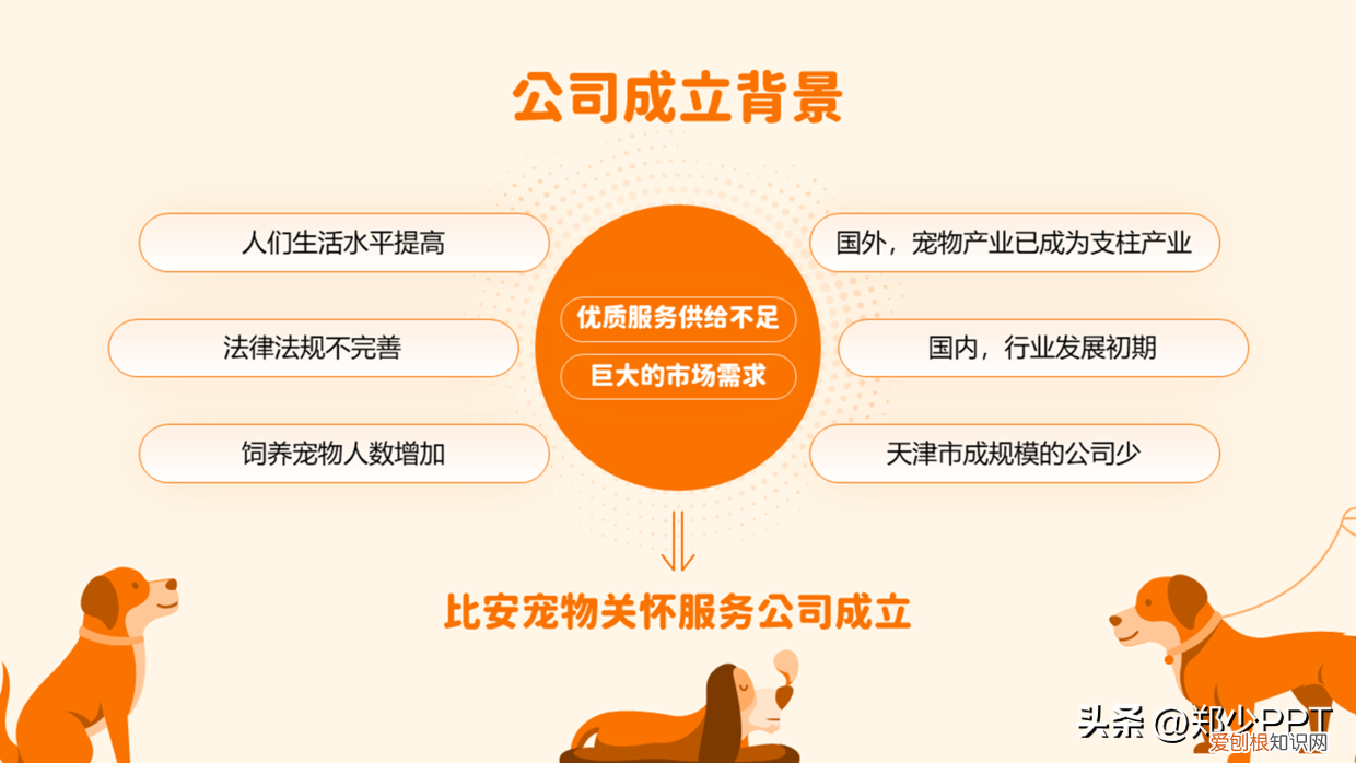 宠物ppt的背景图怎么制作,不用图,设计了一份宠物PPT,效果也很不错