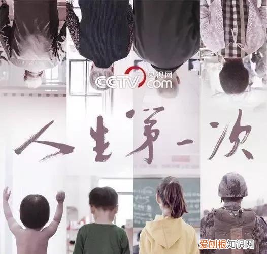 适合孩子看的科学纪录片有哪些,当妈必看的7部育儿纪录片,科学带娃不焦虑