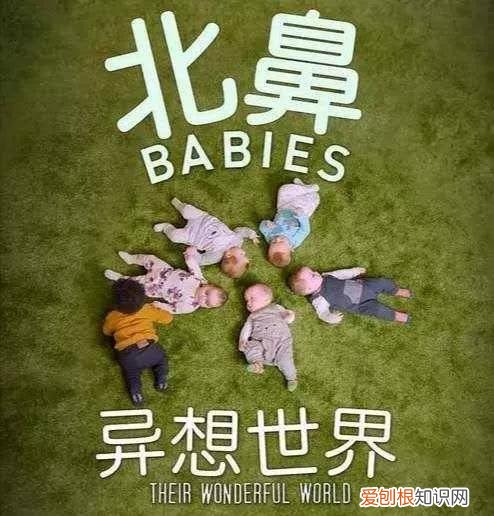 适合孩子看的科学纪录片有哪些,当妈必看的7部育儿纪录片,科学带娃不焦虑