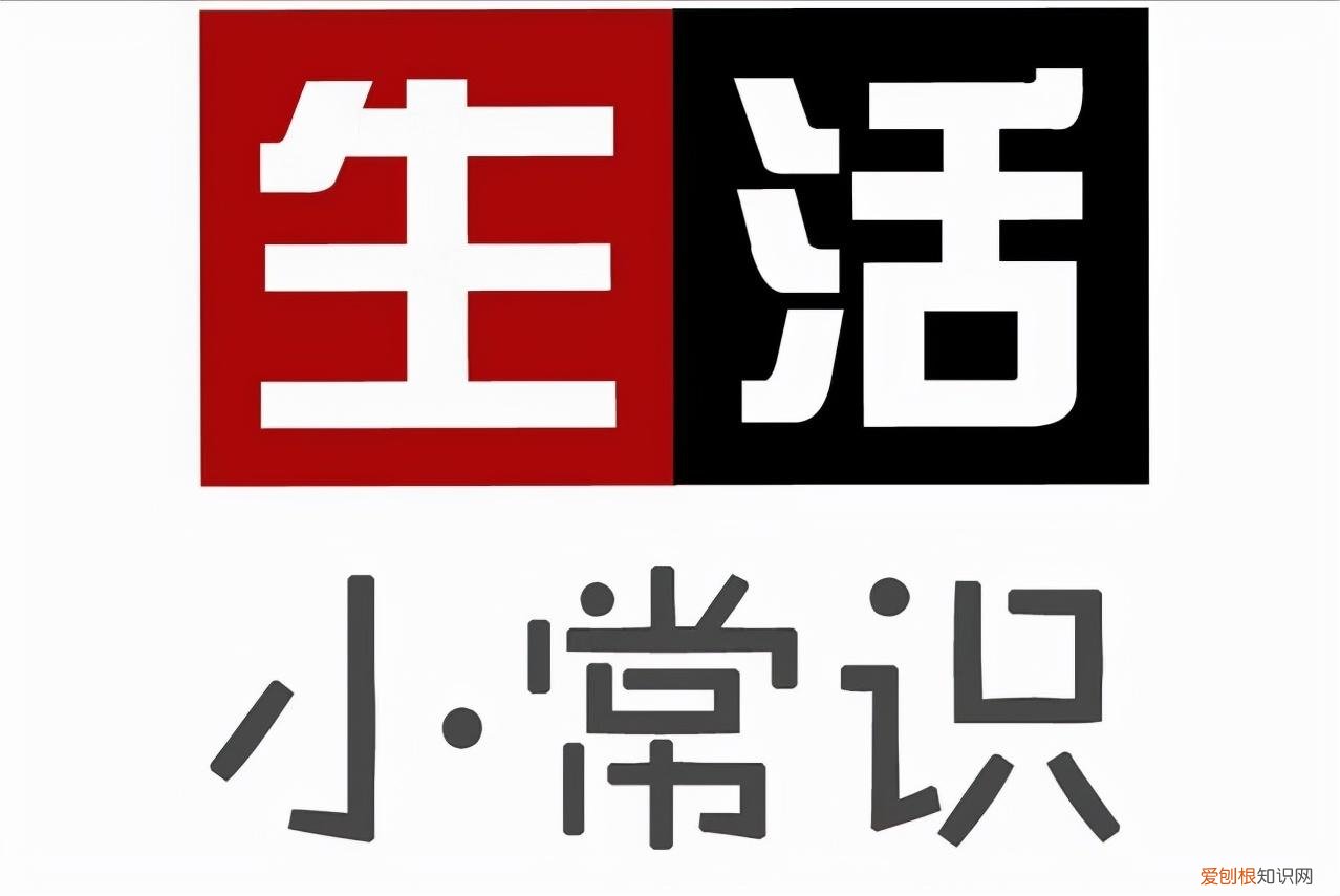 养狗新手指南怎么写的，新手“养狗”常识，呵护狗狗健康成长