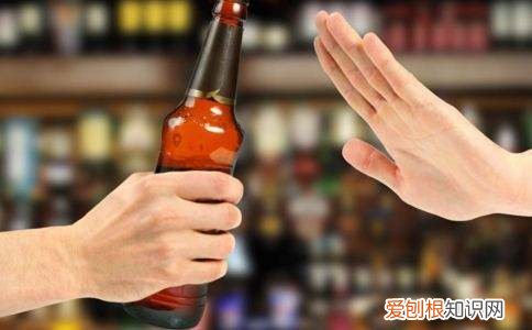 养狗新手指南怎么写的，新手“养狗”常识，呵护狗狗健康成长