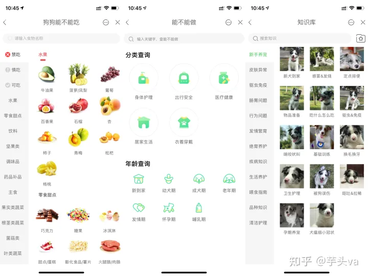 猫&狗 猫狗的寿命大约是几年，干货|新手养宠实用APP大全，亲测好用！
