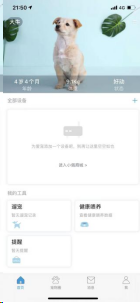 什么样的宠物好，有哪些高质量的宠物APP?