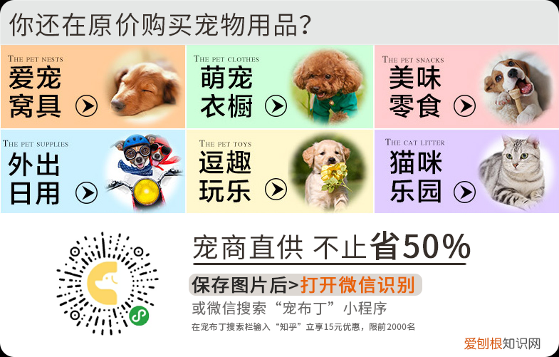 除臭剂对宠物有害吗，干货丨8款养宠必备APP良心推荐，亲测好用！