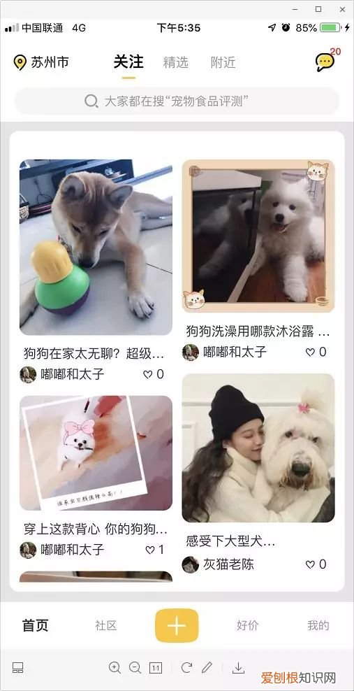 除臭剂对宠物有害吗，干货丨8款养宠必备APP良心推荐，亲测好用！