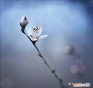 男士养生知识大全，男士健康养生小知识。