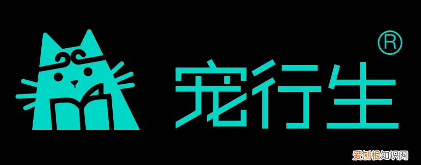 宠物店技术介绍,宠物店经营者的宝藏学习软件,轻松成为宠物行业大咖!