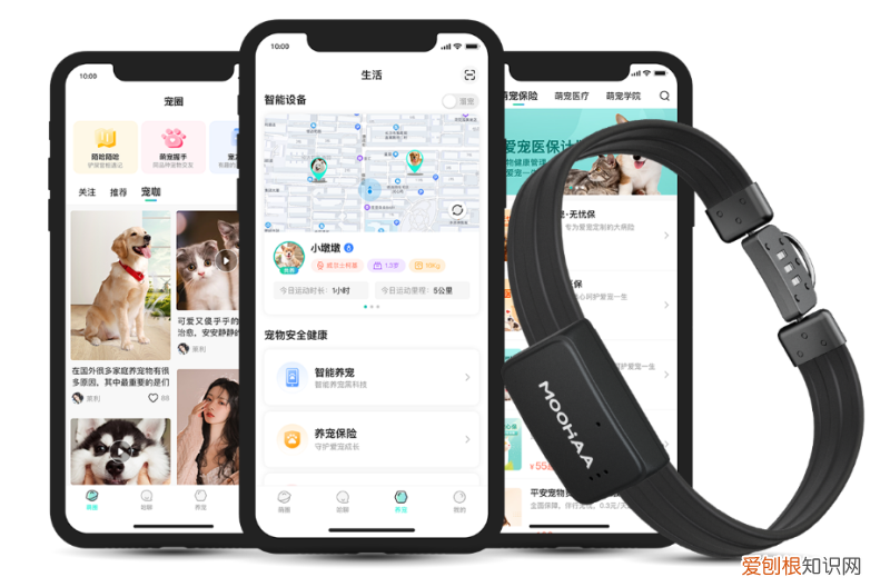 智能养宠物，智能养宠已是趋势，这些“洋气”的养宠黑科技一个比一个有趣