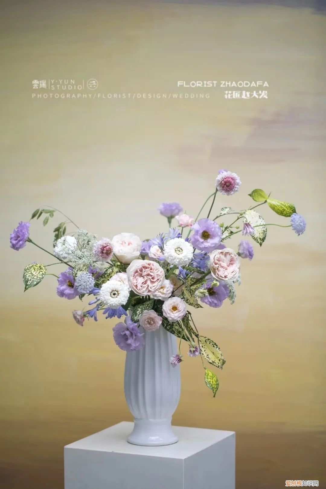 每次养花都能养死，为什么别人养花能养半个月，你只能养3天？