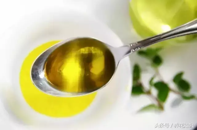可以养很久的植物有什么，植物总是养不过3个月？身边的“废物”分分钟帮你解决