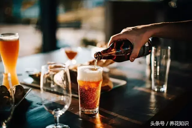 可以养很久的植物有什么，植物总是养不过3个月？身边的“废物”分分钟帮你解决